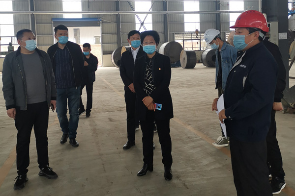 嵩縣縣長宗玉紅蒞臨河南91视频免费观看環保科技有限（xiàn）公司調研指導！